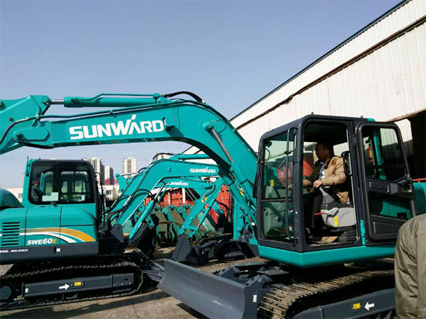 快来看，快来看，这里有一群绿精灵