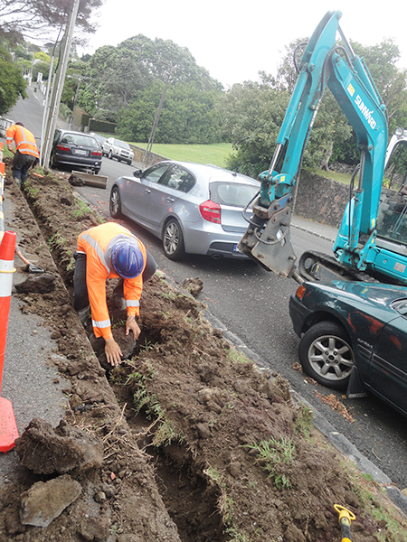 尊龙凯时官网网址挖掘机脱销新西兰