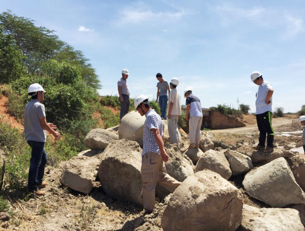 肯尼亚总统高度赞赏，乞力马扎罗山下尊龙凯时官网网址绿闪灼