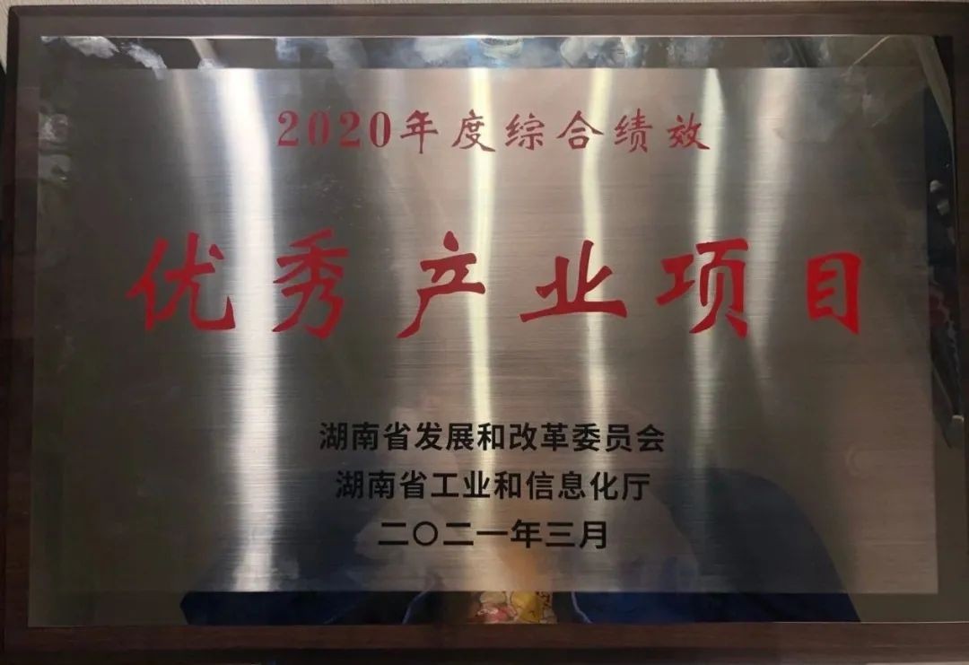 尊龙凯时官网网址智能获评湖南“2020年度综合绩效优异工业项目”