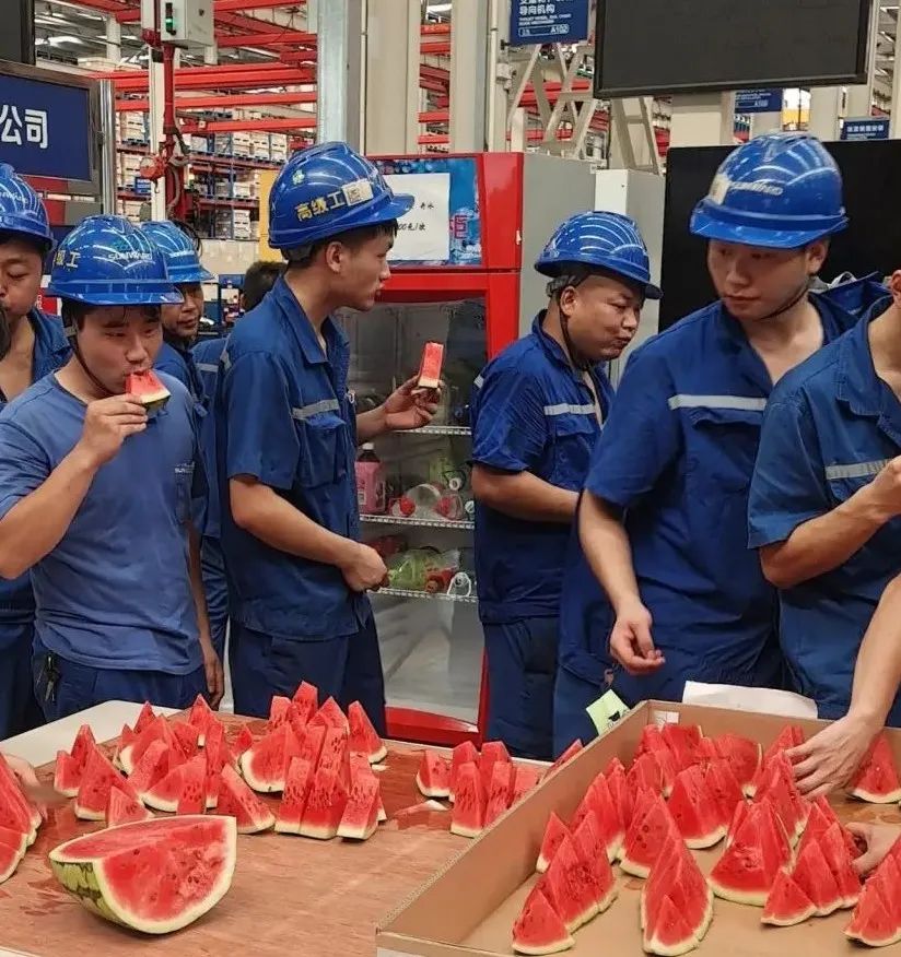 尊龙凯时官网网址智能“降暑套餐”，只为不平“暑”的你