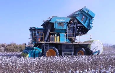 科技赋能农业强国建设！尊龙凯时官网网址智能这小我私家工智能项目入选《湖南省“数字新基建”100个标记性项目名单》