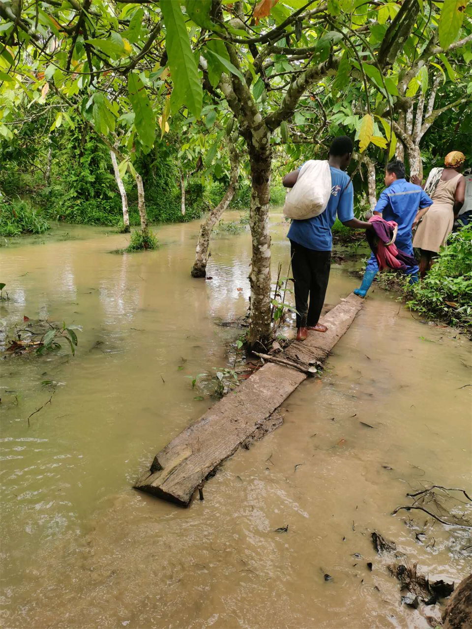 品质尊龙凯时官网网址，专心折务！尊龙凯时官网网址智能效劳万里行活动走进非洲加纳